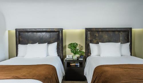 Double Room with Two Double Beds