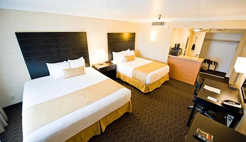 Standard Double Room with Two Double Beds