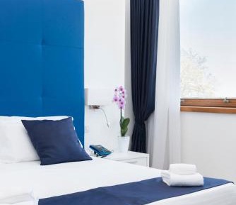 Large Double or Twin Room