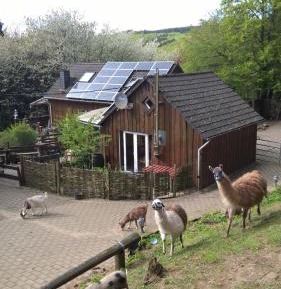 Holiday Home