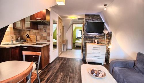 Standard Apartment