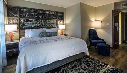 One-Bedroom King Suite