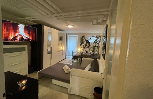 Basel City Centre Apartment | Fast Wifi 3 min to Rhein Comfy Bed