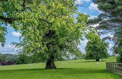Gisburn Cabin | 3 bedroom accommodation in Gisburn, Yorkshire Dales
