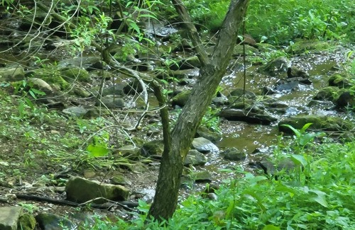 Gatlinburg - Pigeon Forge RV Rental | Tentrr Signature Site - HAPPY HOLLOW HIDEAWAYS HALFWAY THERE