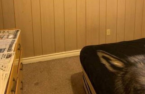 Edmonton House | Little Heavens - peaceful home centrally located in Edmonton, AB.