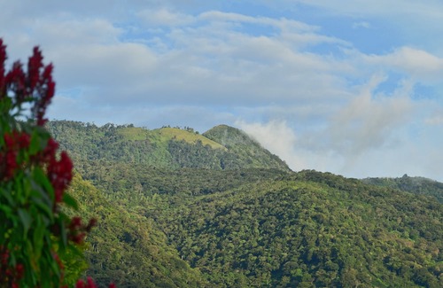 Boquete House | Ecoresort: We are Panamas leading honey producer and butterfly exhibit.