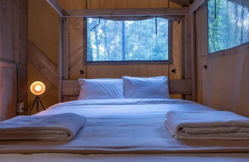 Valle de Bravo House | Pecana, incredible lodge in the forest with