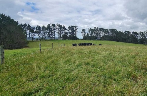Helena Bay House | Beautiful views in a quiet country side, 5 mins to the beach.