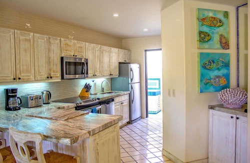 Marina Apartment | Terrasol Oceanview Condo with Patio