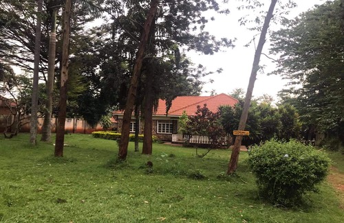 Jinja House | studio 62 guest house