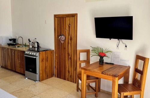 Jonesville Apartment | Roatan Infinity Pool & Ocean View