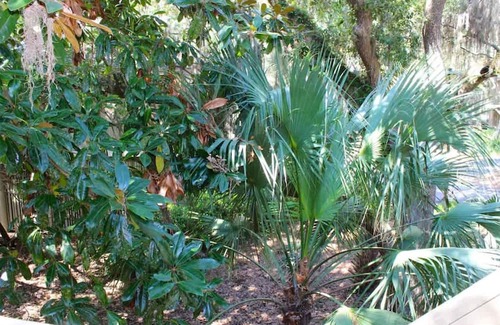 Seabrook Island House | Best Value in Seabrook - Heron Run