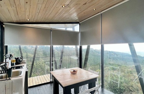 Buchupureo House | Casa Bosque en Olas de Buchupureo