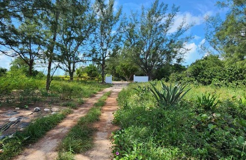 Winding Bay Cottage | Charming private cottage with WiFi and AC in beautiful Whale Point
