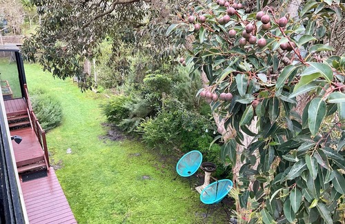 Walkerville House | A quiet place to come and relax close to the beach