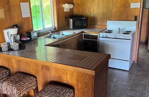 Northeast Michigan Ski Chalet | Cozy chalet in marvelous Harrietta with WiFi. On Orv and Snowmobile trails.