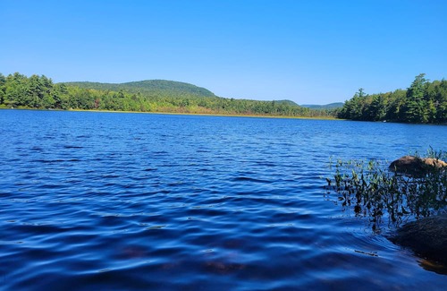 Washington RV Rental | Peaceful campsite with WiFi in Washington