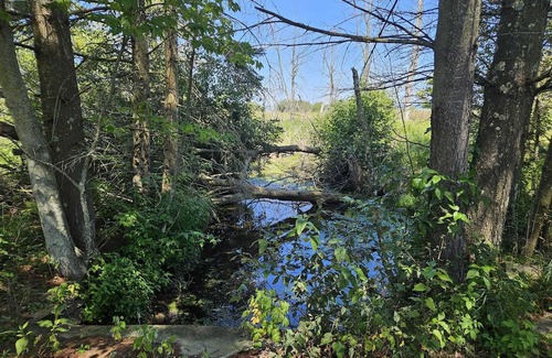 Black River House | Exclusive Private Lake Huron-front Sanctuary Engulfed by 8 Mile-long Sandy Beach