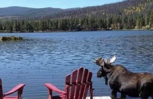 Trapper Creek House | Lake View Primitive Cabin-HCRL