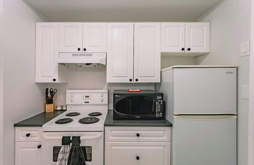 Harrison Hot Springs Condo | Renovated Contemporary Studio in Harrison Springs