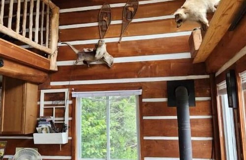Clarington Cabin | The Dreamers Cabin at Dare2Dream Farm