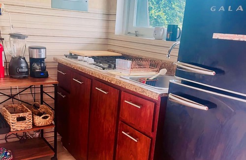 Rio Piedras Apartment | Lovely Studio in Baldrich San Juan Puerto Rico