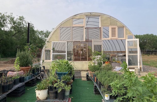 Elmendorf Apartment | Tiny home nestled in a small patch of forest 20 minutes south of San Antonio.