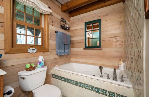 Brevard Cabin | Peaceful, cozy, & private cabin w/streams, waterfalls, & Wi-Fi! Pets OK!