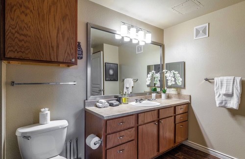 South Arlington Apartment | Unique Sanitized Cozy 1Br by DFW//Att/GlobalLife/SixFlags/TexasLive