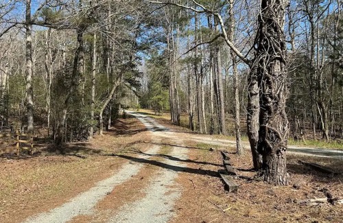 Bynum Cabin | Cute Cabin in the woods ideal for couples