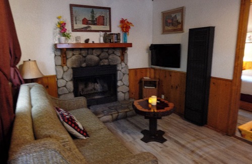 Crestline Apartment | Grey Squirrel in Crestline Mountains
