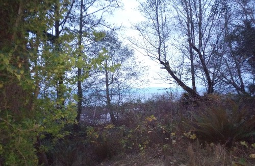 Neah Bay House | Comfortable 3 bed house in Neah Bay, WA. Close to local attractions & amenities!
