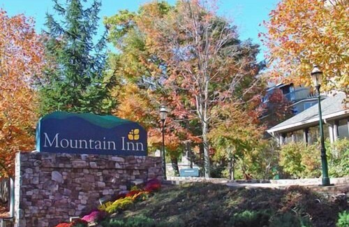 Wintergreen Condo | Mountain Inn Studio 96 with Wintergreen Advantage