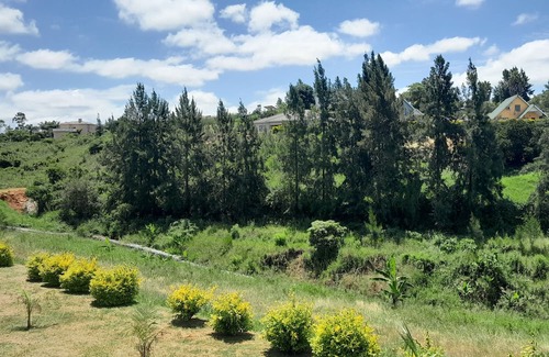 Manzini Cabin | The Rest Camp Lodge