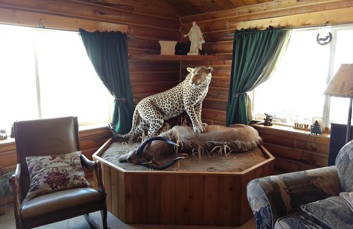 Pinedale House | "The Wild Rose"....... a room for rent