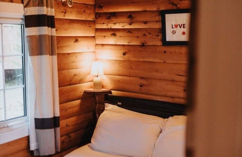 Bronaber Cabin | Stunning 2 Bed Log Cabin: Snowdonia Coed y Brenin