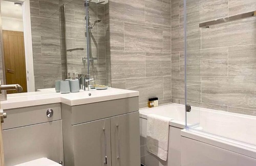 Rochester East Ward Apartment | 360 ME1 Sylvia Apts 01 - Modern Stylish 2 Bedroom 2 Bath Apt. 01 in Rochester