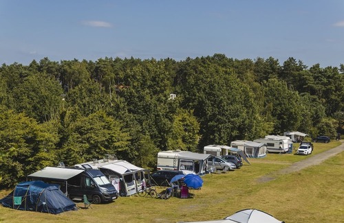 Wilsum RV Rental | In the morning you wake up to the chirping birds and the sun's rays invite you to come outside. Become one with nature and come and enjoy a relaxed and wonderful holiday!