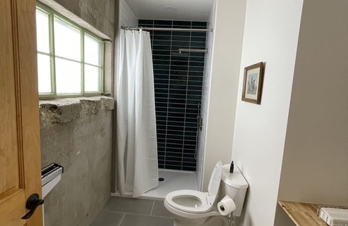 Lewis House | Modern Downtown Hostel! Great outdoor space, large sauna, and cold tub.