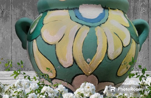 Miami Springs Resort | The Garden Inn