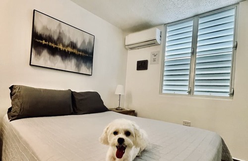 Ceiba House | Ceiba, PR.