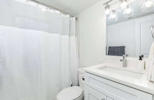 Tampa Apartment | Tampa Bay Bliss: 1 BR + Washer | Dryer & Wi-Fi 8 |