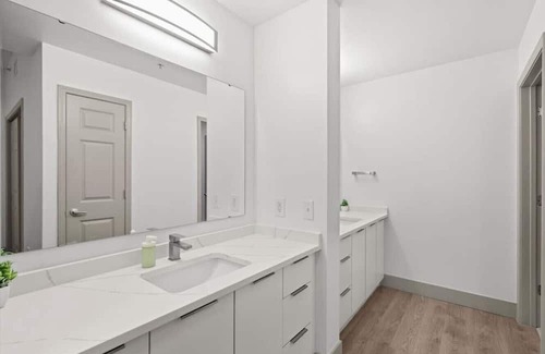 Charlotte Center City Apartment | Sunny Green Apt - Walk everywhere!