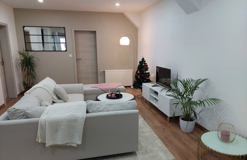 Colmar Centre Ville Apartment | Le Bag appartement familial