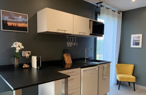Vieille-Toulouse Apartment | Studio Design, Terrasse et Belle Vue, Cuisine, Douche à L'italienne no2
