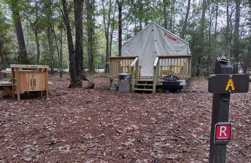 West Livingston RV Rental | Tentrr State Park Site - Texas Lake Livingston State Park - Site A - Single Camp