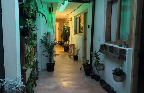 De Guadalupe Hotel | Hostel Boutique 55