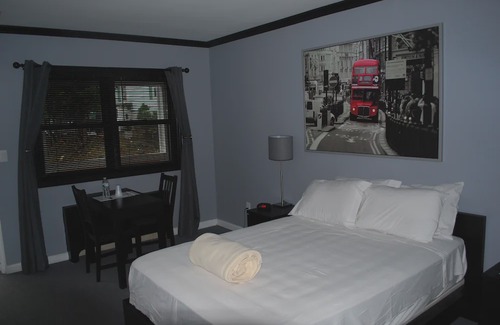 White Plains Hotel | Central Motel Courtyard