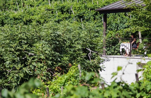 Valdobbiadene House | Agriturismo due Carpini